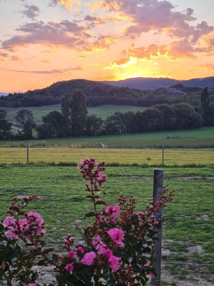 Gite De Charme La Martinelle La Bégude-de-Mazenc Exteriör bild